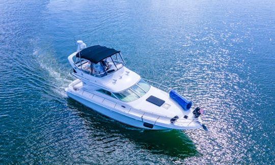 🔥 Sea Ray Sedan 46ft || 🎉 ASK FOR THE FREE HOUR🎉