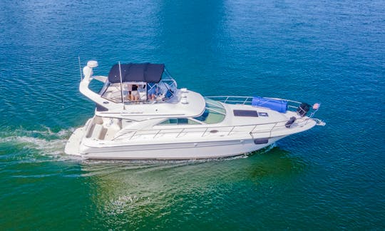 🔥 Sea Ray Sedan 46ft || 🎉 ASK FOR THE FREE HOUR🎉