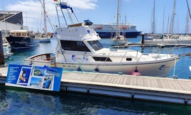 Bateau de pêche Shannon Brendan 32 de 32 pieds à Ponta Delgada