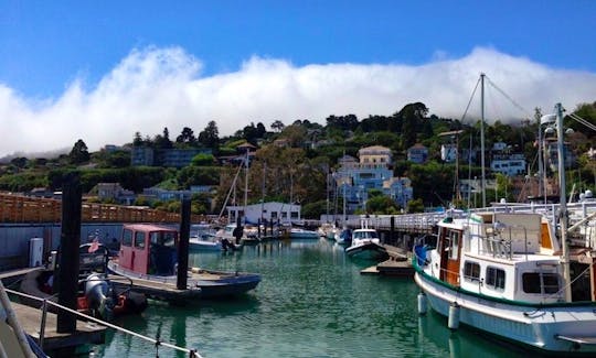 Sausalito
Just off the northeastern end of the Golden Gate Bridge is the picturesque little town of Sausalito, a slightly bohemian adjunct to San Fran
