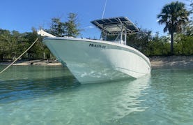 Boston Whaler Center Console for rent in Cabo Rojo