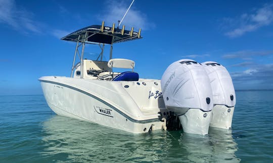 Boston Whaler Center Console for rent in Cabo Rojo