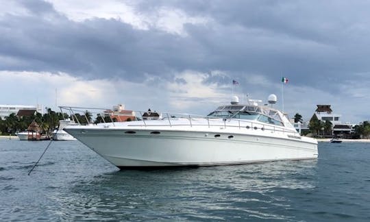 Amazing Huge Sea Ray 60ft for up to 27 people in Cancún, Quintana Roo