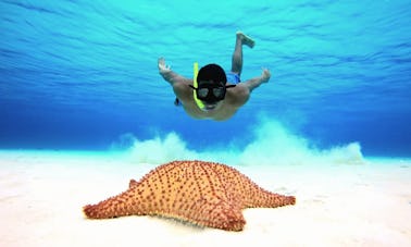 Passeio panorâmico de barco de 36 pés em Egg Harbor e mergulho com snorkel em San Miguel de Cozumel