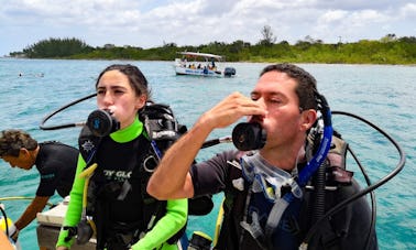 Excursion de plongée à San Miguel de Cozumel