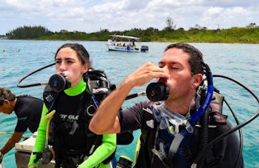 Diving Trip in San Miguel de Cozumel