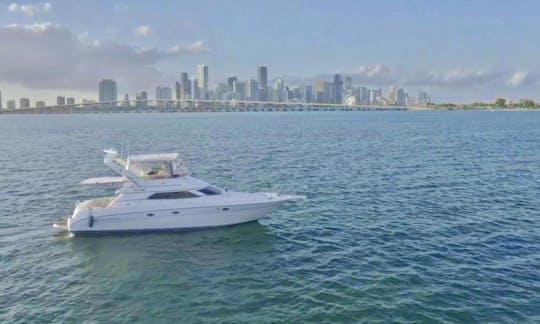 Celebrate On our 50ft Sea Ray Express Bridge Motor Yacht Rental in Miami, Florida.