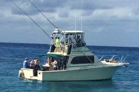 Egg Harbor 35ft Sport Fisherman in Quintana Roo Cozumel