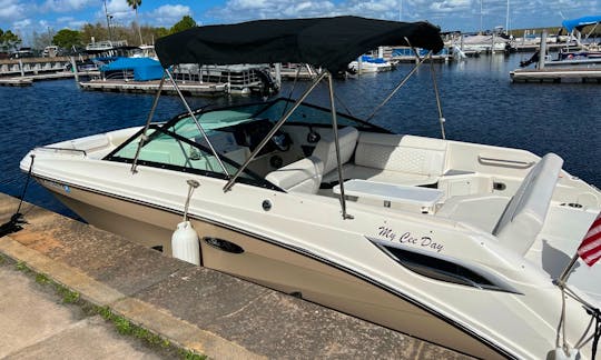 Sea Ray SDX 25' for Day Cruising in Tampa