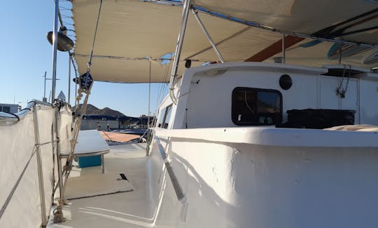 40ft Custom Sailing Catamaran for 30 people All inclusive!