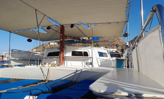 40ft Custom Sailing Catamaran for 30 people All inclusive!