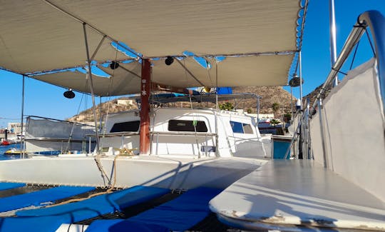 40ft Custom Sailing Catamaran for 30 people All inclusive!