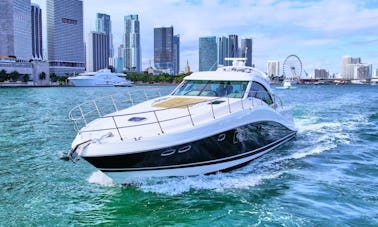 60' SeaRay in North Bay Village, Florida - Rent a Luxury Yachting Experience!