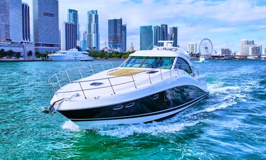 Rent a Luxury Yachting Experience! 60' SeaRay Motor Yacht in North Bay Village, Florida