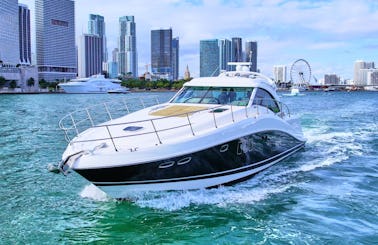 Rent a Luxury Yachting Experience! 60' SeaRay in North Bay Village, Florida