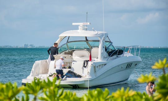 'The Sea Star' Sea Ray 40 Yacht Charter in Cayman Islands