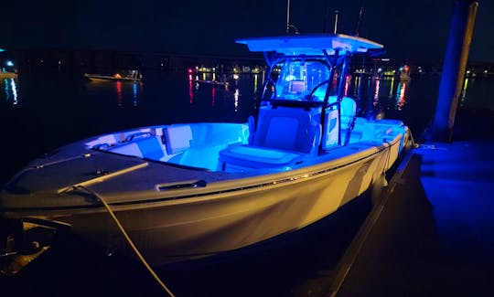 2021 Sea Fox 26ft Offshore Fishing and Cruising Trips in Charleston, South Carolina
