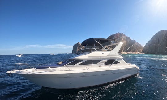 Yacht Searay Express de 44 pieds à louer à Cabo San Lucas