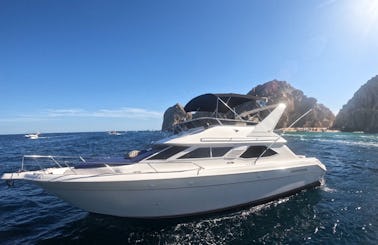 44ft Searay Express Yacht for rent in Cabo San Lucas