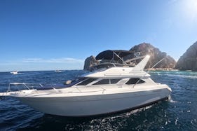 44ft Searay Express Yacht for rent in Cabo San Lucas