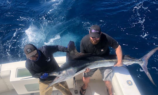 37' Bertram Sport fishing for charter in Cabo San Lucas