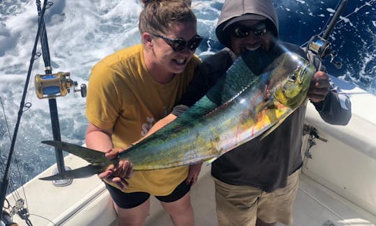 37' Bertram Sport fishing for charter in Cabo San Lucas