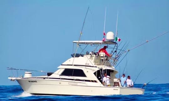 37' Bertram Sportfisher for charter in Cabo San Lucas