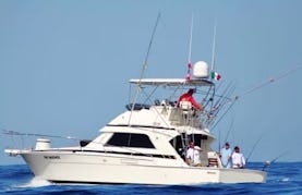 37' Bertram Sport fishing for charter in Cabo San Lucas