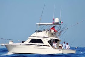 37' Bertram Sport fishing for charter in Cabo San Lucas