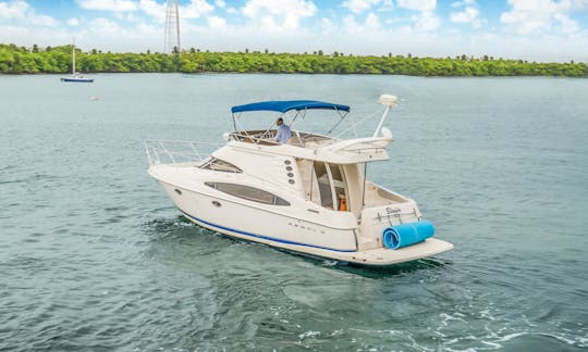 44ft Regal Commodore Party Yacht in Miami Beach