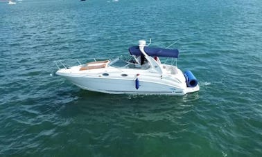 28ft SeaRay Sundancer Motor Yacht - Boating fun in Miami! Spring Break Special $1200 for 5 hrs!!!