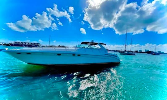 Sea Ray 54 Motor Yacht Rental in Miami, Florida