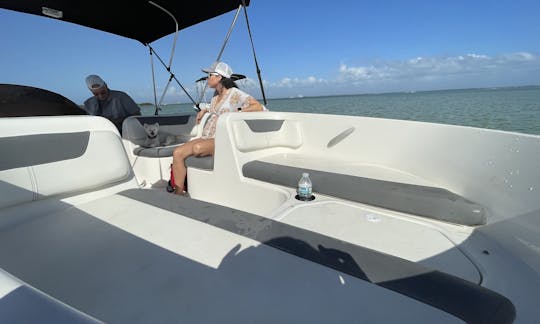 Festa de barco Bayliner Deck, limpa e fácil de dirigir, para até 9 pessoas