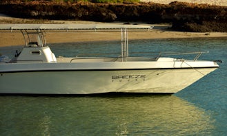 Sapphire Marine 36' for Sea Tours in Muscat and Daymaniyat Islands