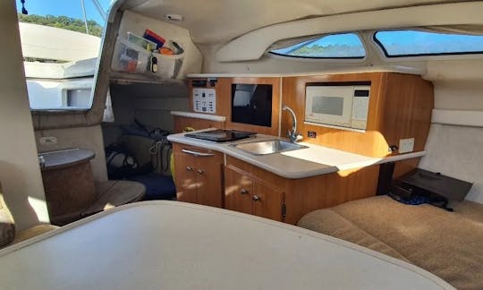 Yacht à moteur Maxus 2700 pour les activités familiales et les fêtes