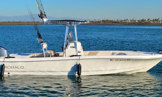 Sea Scout, our Robalo 246 Cayman