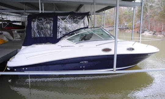 Sea Ray Sport Cruiser Cuddy Cabin Rental in Buford, Georgia