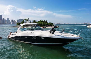🐬48' Sea Ray Sundancer  Amazing Motor Yacht In Miami, Florida