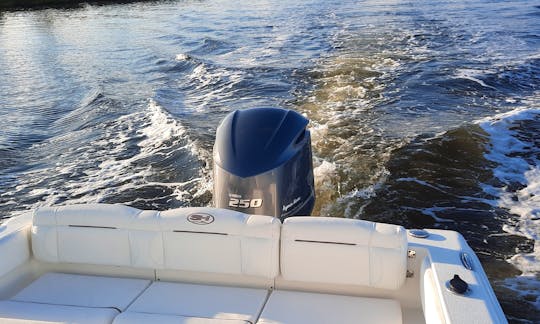 23' Sea Hunt Center Console - Best Day on the Water
