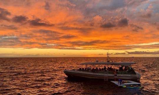 Sunset Manta Ray Snorkel Experience in Kailua-Kona