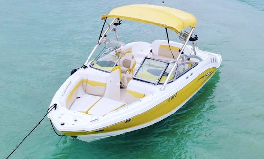 Chaparral 23ft Deck Boat Rental in Miami