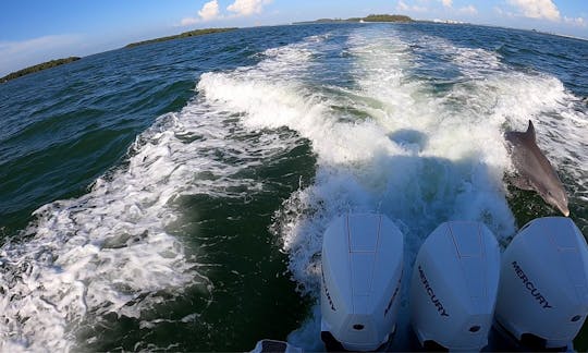 Large 35' Luxury boat in Fort Myers, Florida