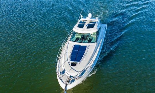 Sea Ray 55' Amazing Yacht in Heart of Miami!!!!!