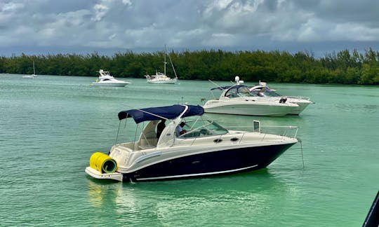 Sea Ray 37' Motor Yacht Rental in Miami Beach, Florida