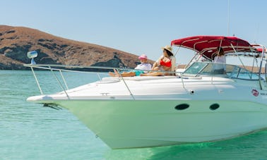 LA CROISIÈRE EN YACHT DE LUXE LA PLUS ABORDABLE - Balandra Beach, Isla Espiritu Santo.