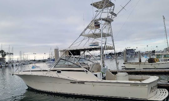 ''Pescado Loco''Atlantic Sportfish Motor Yacht Rental in Islamorada, Florida