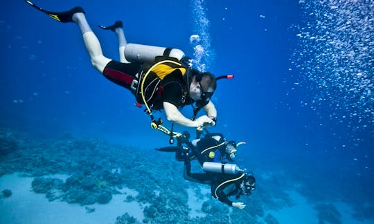 Enjoy Diving Trips and Courses in Koshljun, Croatia
