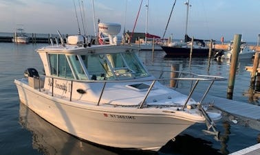 Venha desfrutar de um dia de pesca ou relaxamento a bordo do Reel Serenity 2 (COMBUSTÍVEL INCLUÍDO)