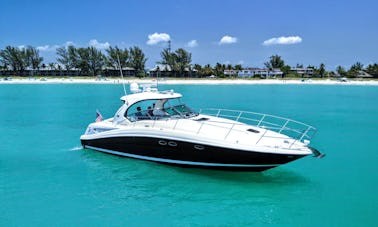 Hermoso Sea Ray Sundancer de 41 pies para alquilar en Naples, Florida