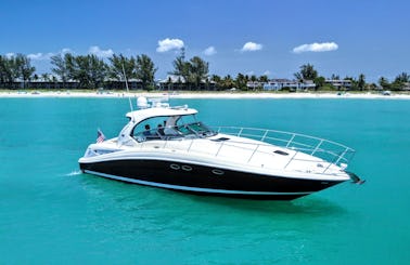Beautiful 41' Sea Ray Sundancer For Charter In Naples, FL